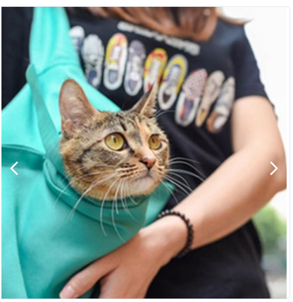 BOLSA DE TRANSPORTE PARA GATOS