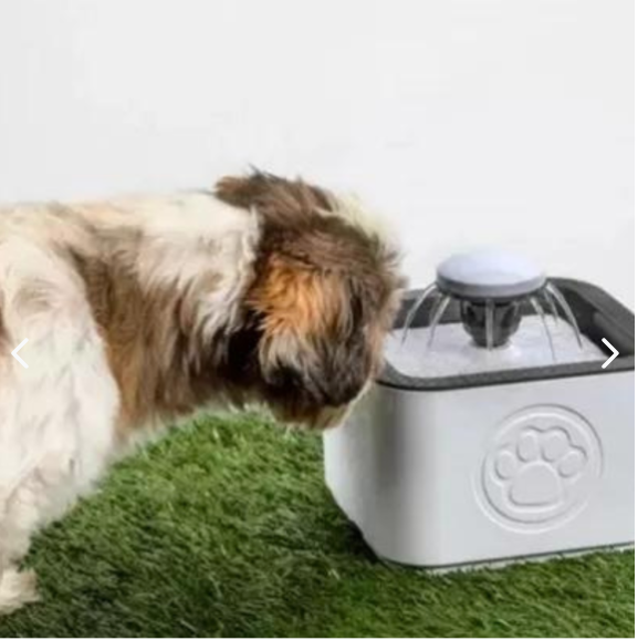 Fuente de agua para Mascota 2.5 L